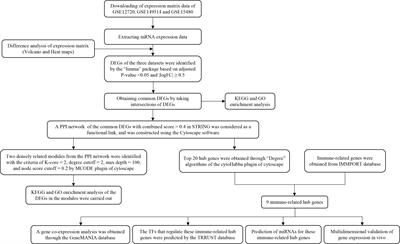 Analysis of potential immune-related genes involved in the pathogenesis of ischemia-reperfusion injury following liver transplantation